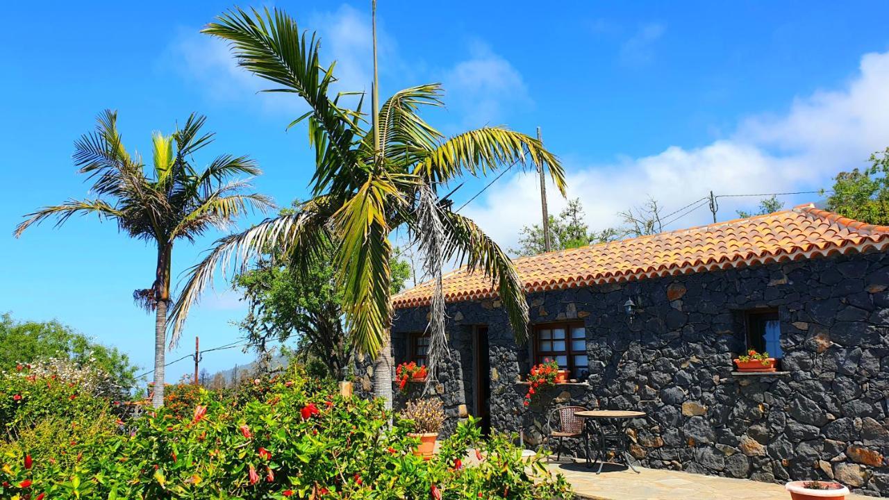Climatized Pool Free Wifi Casa Rural Las Pareditas Тихарафе Екстериор снимка