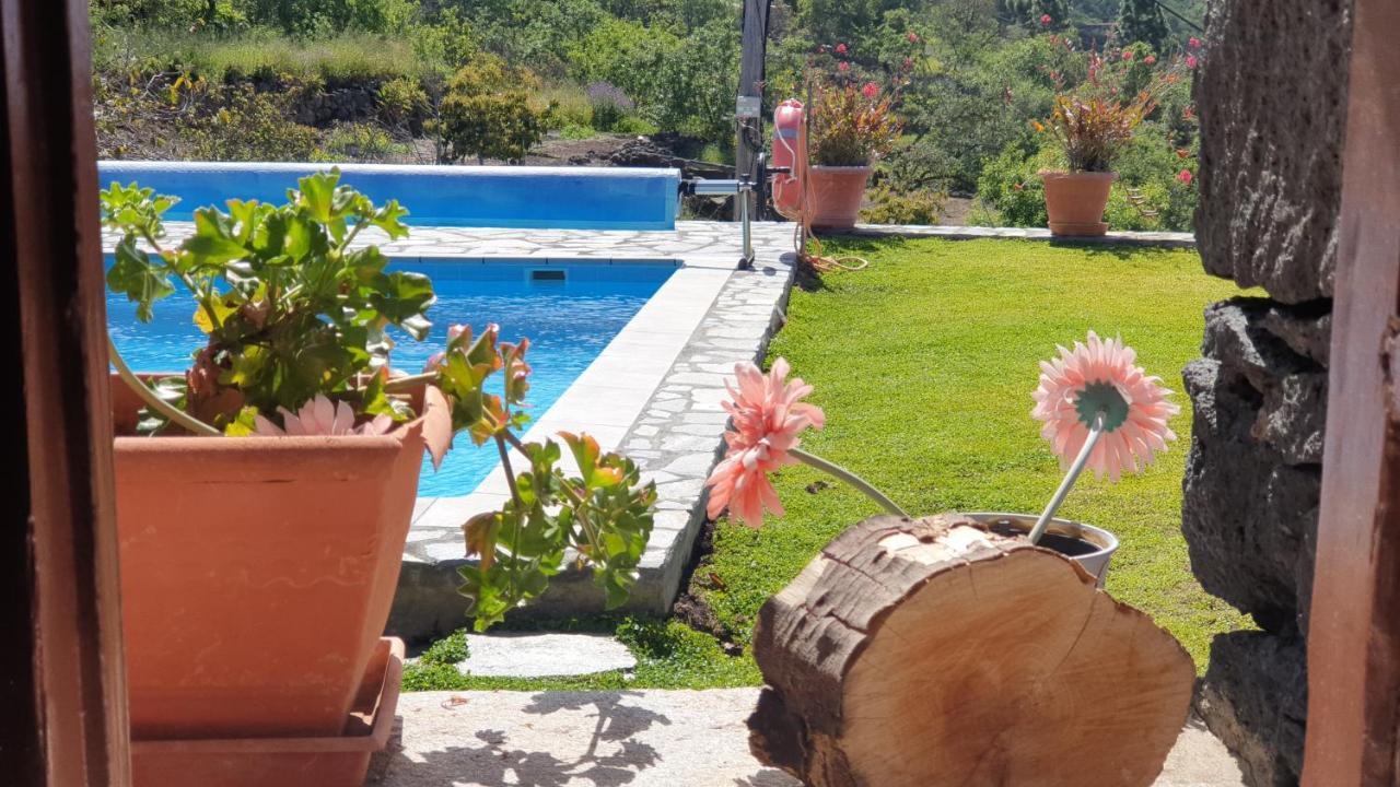Climatized Pool Free Wifi Casa Rural Las Pareditas Тихарафе Екстериор снимка